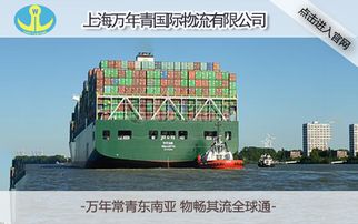上海出口海运集装箱运输公司推荐 万年青国际物流