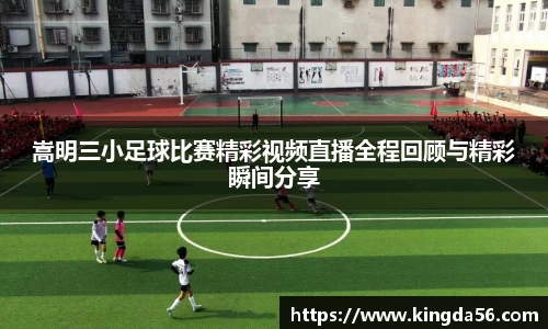 mk体育官网