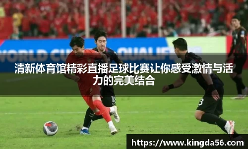 mk体育