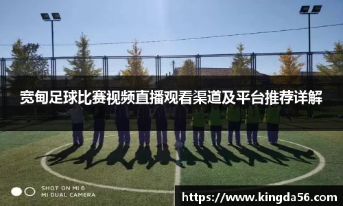 mk体育